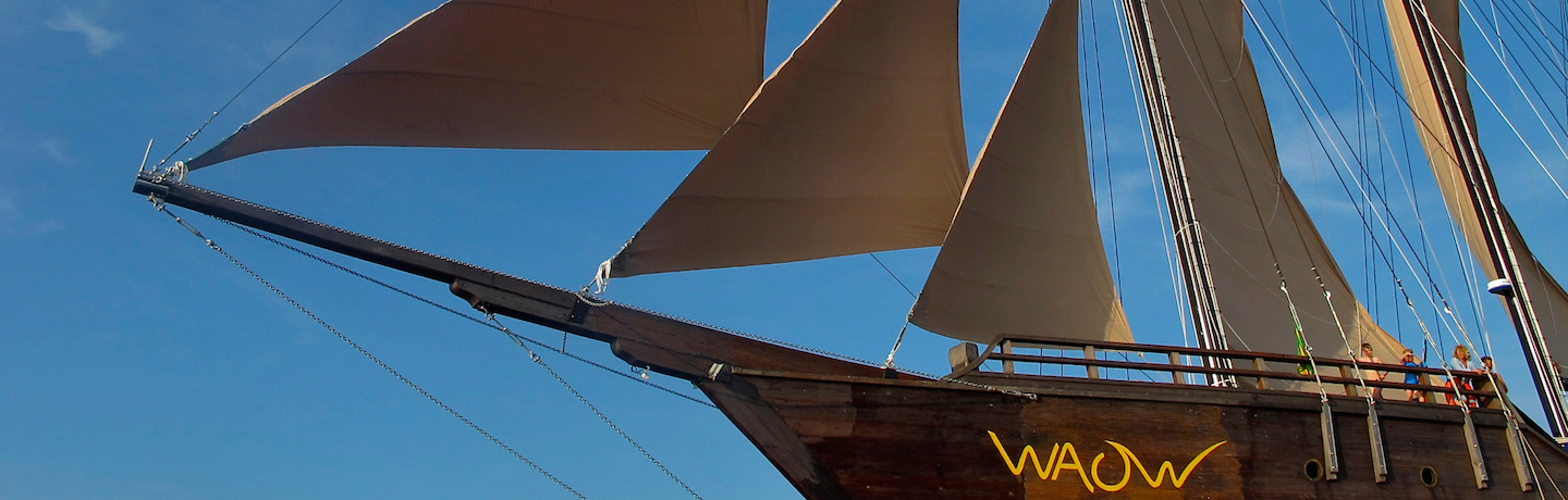 WAOW liveaboard sailing for scuba diving in Indonesia - Komodo Alor RajaAmpat  Flores  Banda Sea  Triton Bay