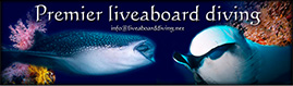 MSY WAOW, Liveaboard sailing for Scuba diving in Indonesia, KOMODO, Raja Ampat, Papua Barat , Cenderawasih, Moluccas, Seram sea, Halmahera, Manado, Lembeh Strait and Ambon