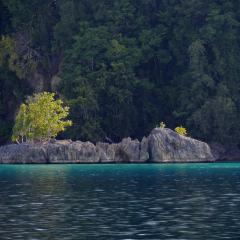 Pinisi Charter vessel and luxury liveaboard WAOW cruising, sailing and scuba diving in Indonesia Raja Ampat, Papua Barat, Moluccas, Seram sea,Triton Bay, Kaimana and Ambon. Mommon coast and tropical forest