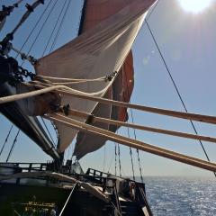 Pinisi WAOW, Phinisi bateau de plongée et voilier WAOW navigue sous voile, Misool, Wajag, Wayag, en Indonésie sailing