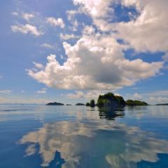 Phinisi sailing yacht for scubadiving MSY WAOW anchoring in Misool RajaAmpat Indonesia