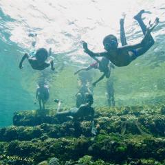 WAOW liveaboard cruising and sailing for scuba diving in Indonesia ALOR - Muck diving Macrophotography Critters and reefs - village kids