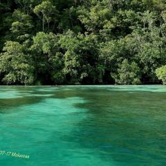 WAOW Liveaboard scuba diving Moluccas Seram  Lahoons