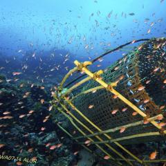 WAOW liveaboard cruising and sailing for scuba diving in Indonesia ALOR - Muck diving Macrophotography Critters and reefs - nacelle de pêche